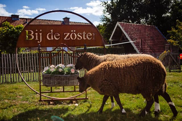 Bij de Zuster vakantiewoning (5)