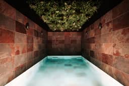 INTENSE Senses Experience, Manage - photo 1