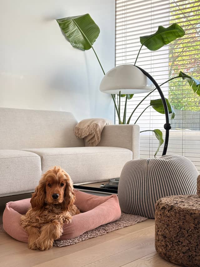 Design ecolodge Huis van Hout 24