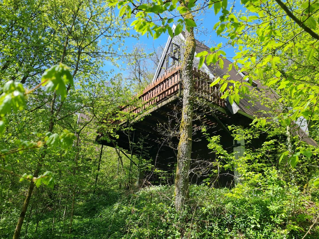 Chalet Het Bosnestje Durbuy 1