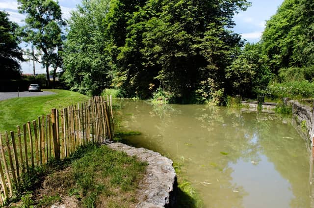 Moulin de Flavion (3)