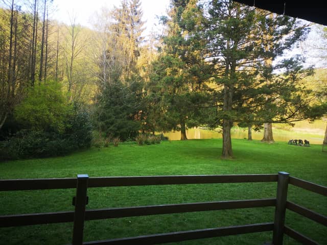 Le Printemps - Chalet Ardea (6)