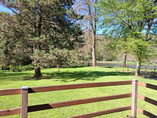 Le Printemps - Chalet Strix 11