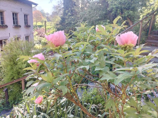 CHEZ MARIE (3)