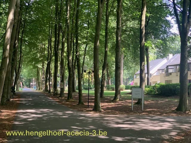 Hengelhoef Acacia 3 12
