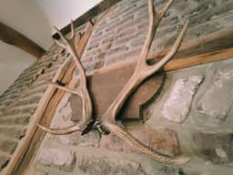 Le Trou 14, Ferrières (Ardennen) - foto 13