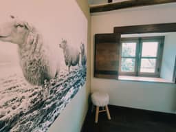Le Trou 14, Ferrières (Ardennen) - foto 22