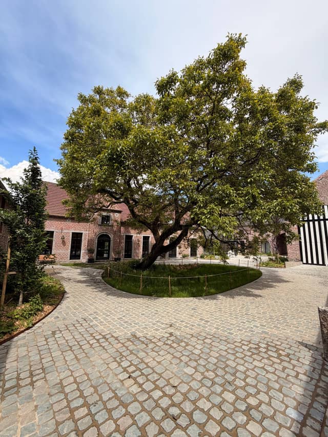 Gîte de Favarge 21