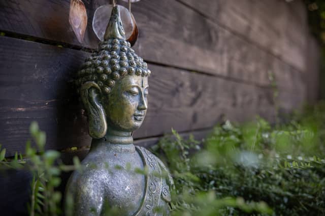 AuxiliumWellness 33