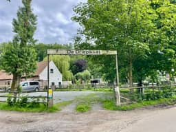 De Driepikkel, Knesselare - foto 12