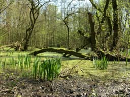 Jeugdverblijfcentrum Schotte, Aalst - foto 21