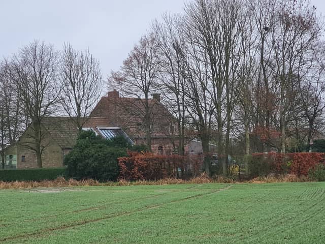 De Wolvenput 29