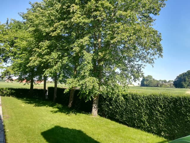 De Wolvenput 24