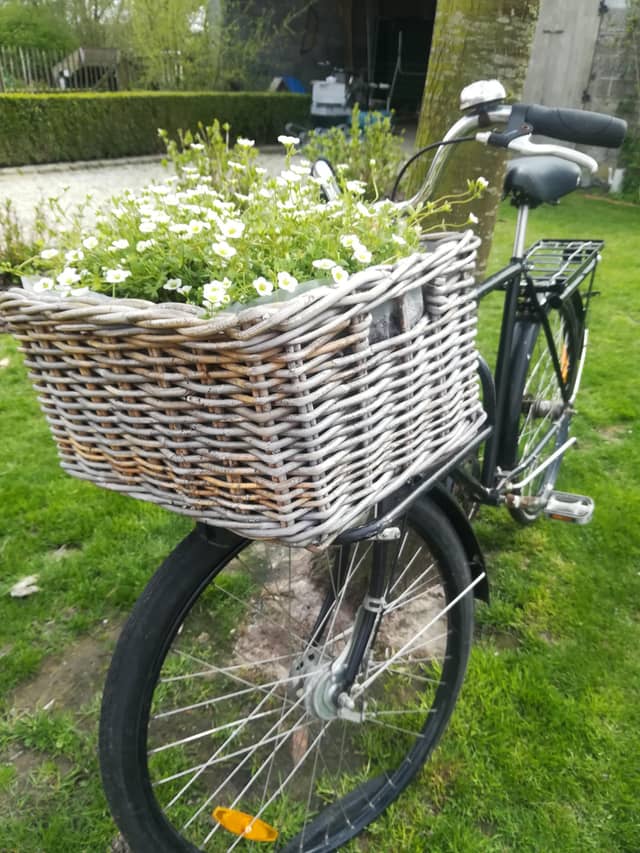 De Wolvenput 19
