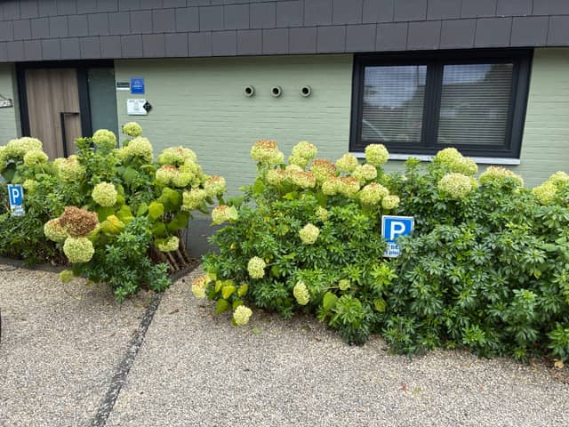 B&B 't Pleintje (4)