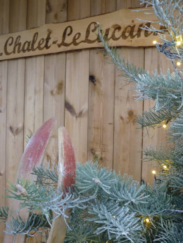 Chalet Le Lucan (4)