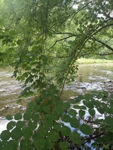 Le Clapotis de l'Amblève (5)