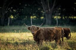 Sheela Farm, Reet - foto 35