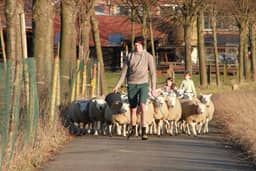 Sheela Farm, Reet - foto 37