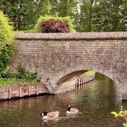 b'Oerenstee, Oeren (Westhoek) - photo 5