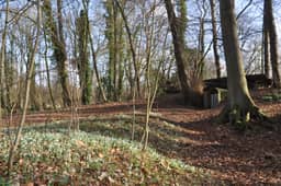 Koetshuis Domein Roosendael, Sint-Katelijne-Waver - photo 16