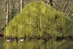 Koetshuis Domein Roosendael, Sint-Katelijne-Waver - photo 15