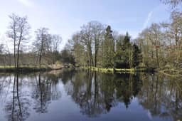 Koetshuis Domein Roosendael, Sint-Katelijne-Waver - photo 14