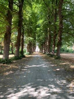 De Lotuspoort B&B in de Abdij van Bornem, Bornem (Scheldeland) - foto 18