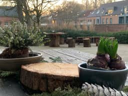 De Lotuspoort B&B in de Abdij van Bornem, Bornem (Scheldeland) - foto 15