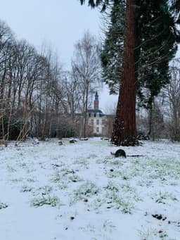 De Lotuspoort B&B in de Abdij van Bornem, Bornem (Scheldeland) - foto 22