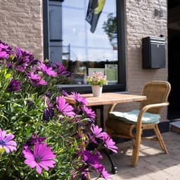 B&B Rustique, Oost-Souburg - foto 9