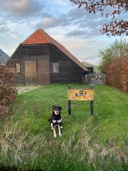 Veldhoeve, Doorn - photo 13