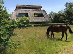 Waddenresidentie Ameland - Nummer Vier, Buren (Waddeneilanden) - foto 19