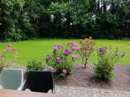 B&B Overnachten in Overasselt, Overasselt (Rijk van Nijmegen) - photo 5