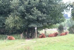 Buitenverblijf 't Herfse - 2, Mechelen (Zuid-Limburg) - photo 23