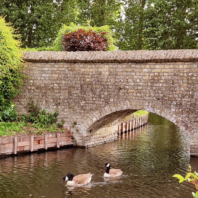b'Oerenstee photo 5, Westhoek
