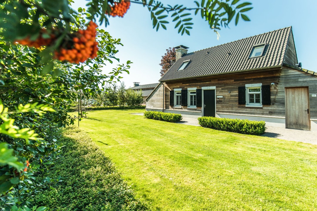 Kolisheide, Kleine-Brogel (Limburg)
