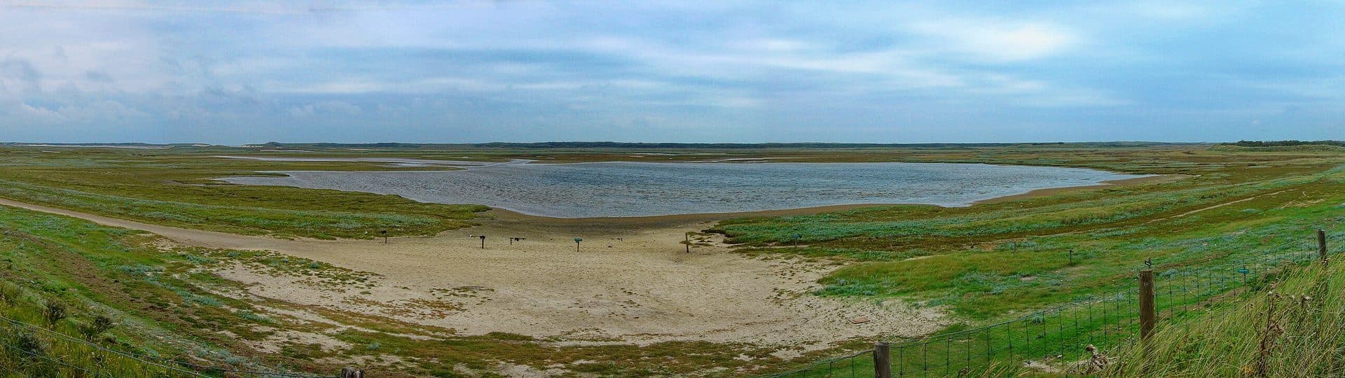 Texel