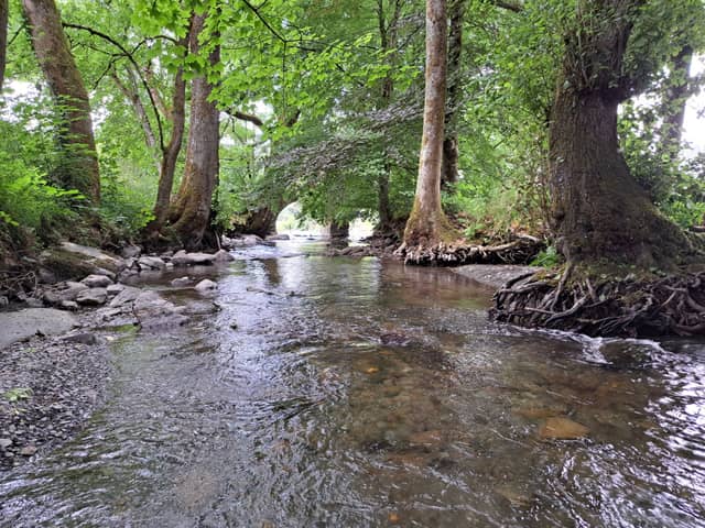 Le Moulin Cognaut 7