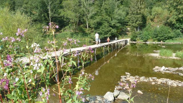 Le Moulin Cognaut 9