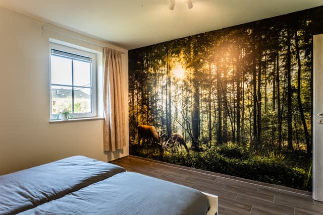 Villa Forêt de C'est Moi 14