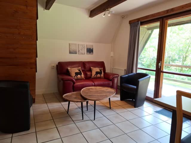 Le Printemps - Chalet Ardea (5)