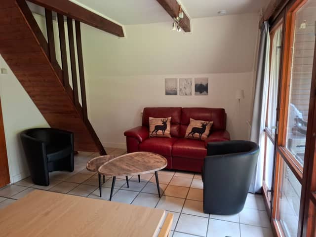 Le Printemps - Chalet Ardea (4)