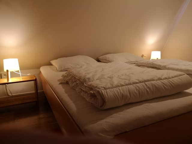 Le Printemps - Chalet Strix (3)