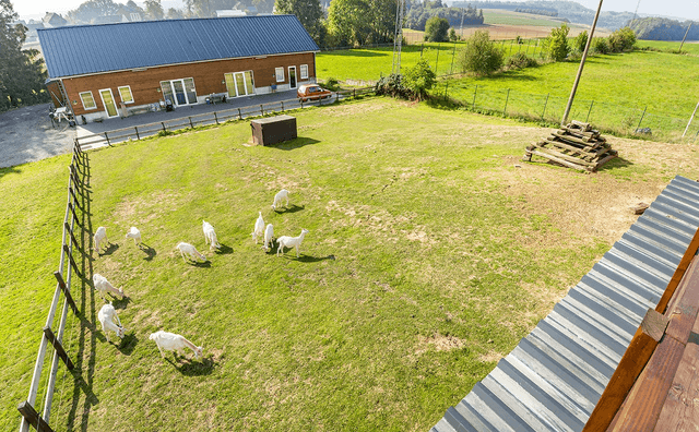 Le Grand Gite Des Petits Chevreaux 27