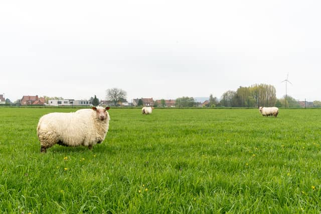 Vakantiewoning De Bles 15