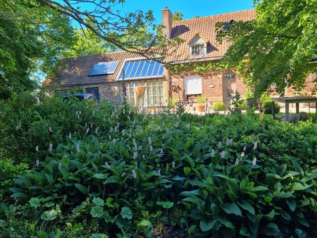 De Wolvenput