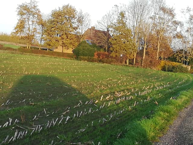 De Wolvenput 30