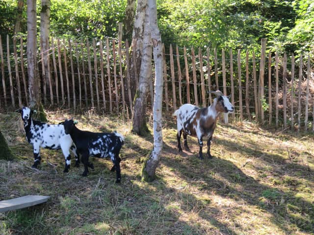 La Ferme des Fermiers 44