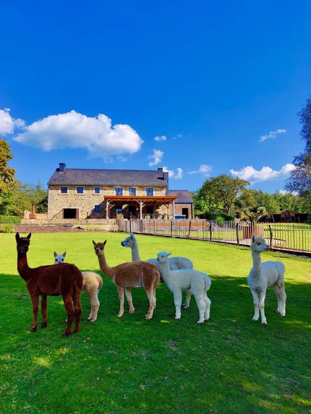 La Ferme des Fermiers 42